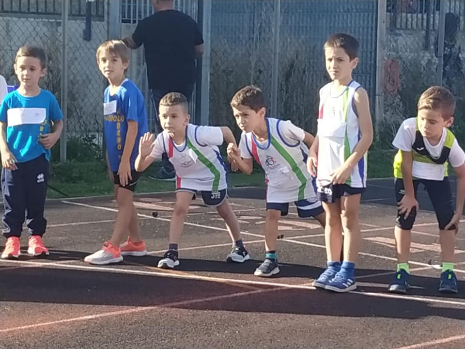 74439262_3067187813351635_6097439085855506432_n